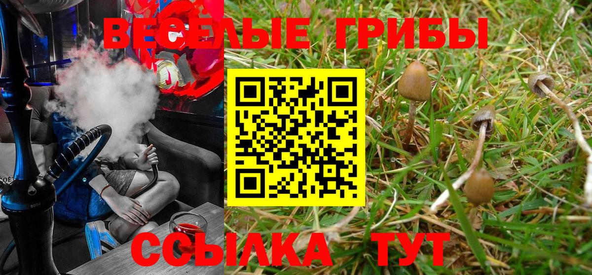 Псилоцибиновые грибы MAGIC MUSHROOMS Алушта