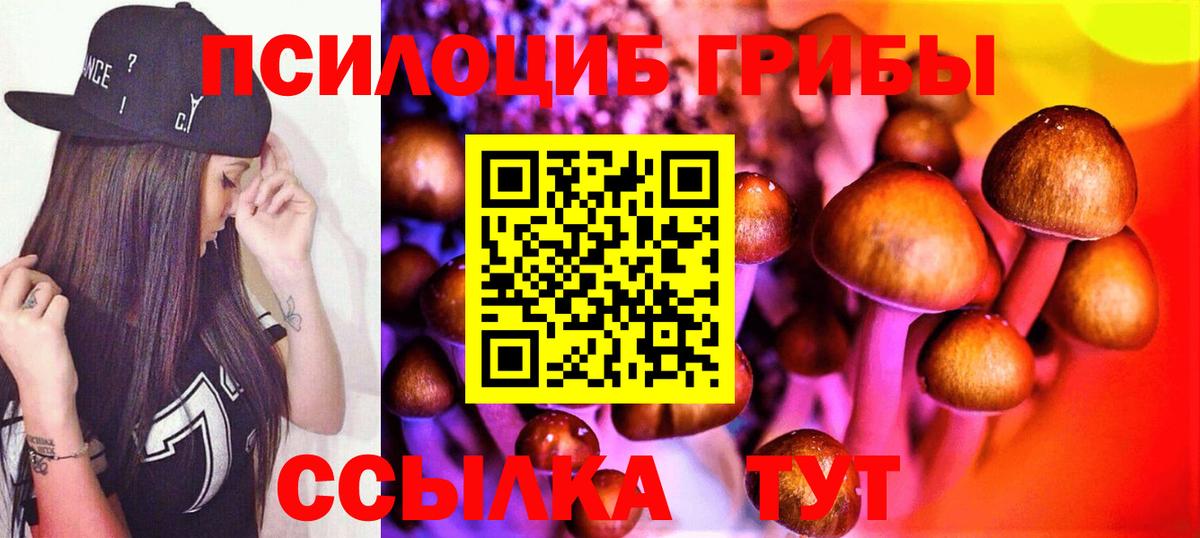 Галлюциногенные грибы MAGIC MUSHROOMS  Вход с VPN  Алушта 